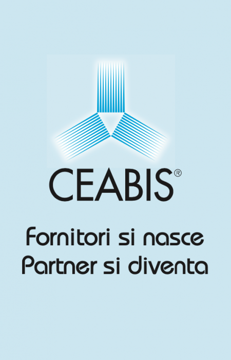 ceabis logo IT